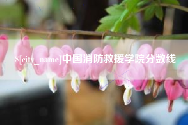 朝阳中国消防救援学院分数线