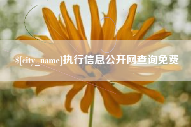 朝阳执行信息公开网查询免费