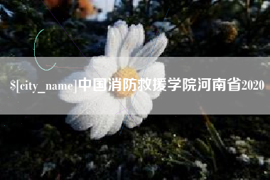 朝阳中国消防救援学院河南省2020